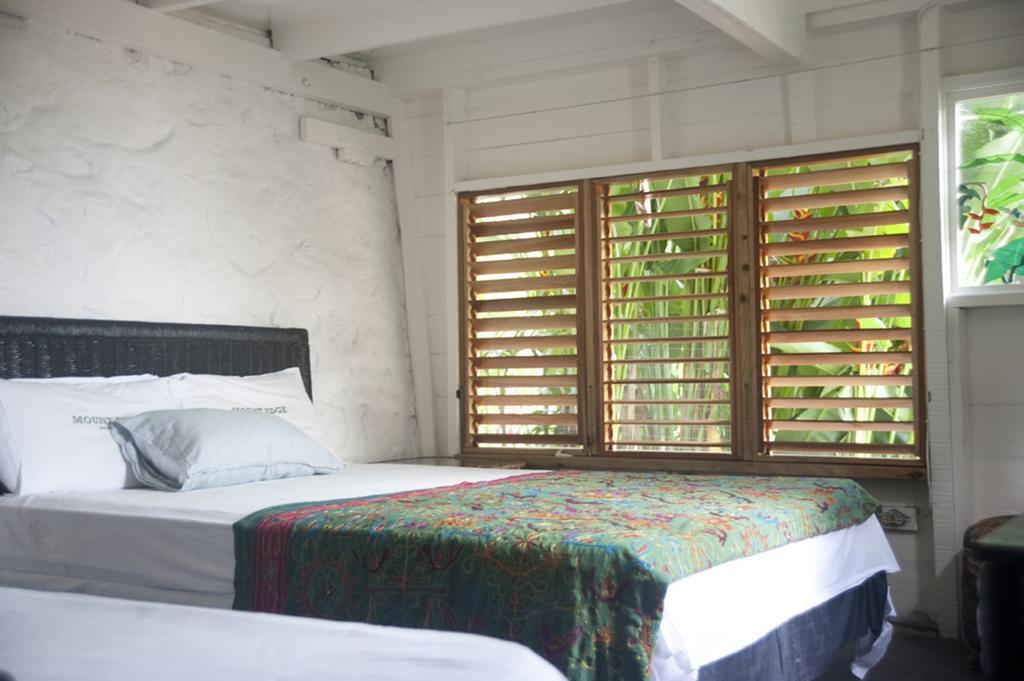 Mount Edge Guest House Port Antonio Exterior photo