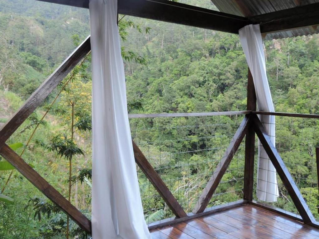 Mount Edge Guest House Port Antonio Exterior photo