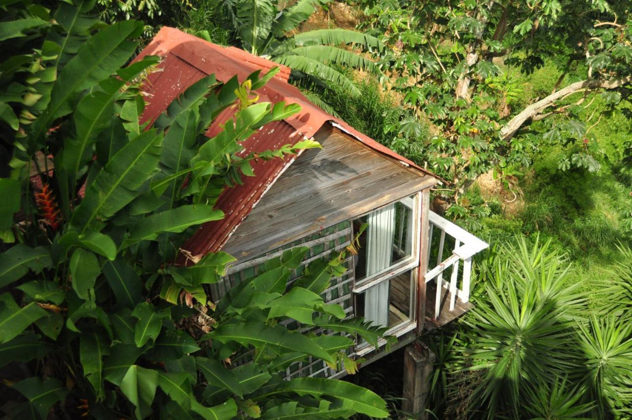 Mount Edge Guest House Port Antonio Exterior photo