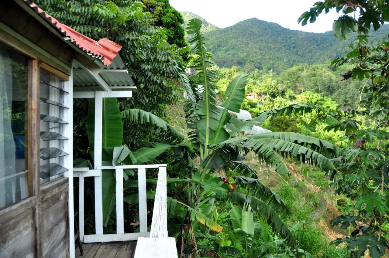 Mount Edge Guest House Port Antonio Exterior photo